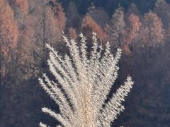 -山王坪喀斯特国家生态公园