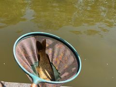 -酷鱼垂钓CLUB(朝阳区博大路店 )