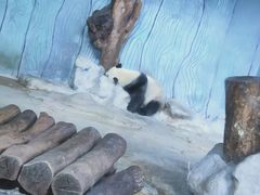 -海南热带野生动植物园