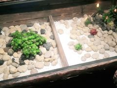 -西塘人家•黑金冠本地好店