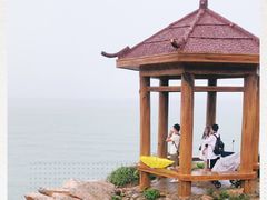 -广东惠东海龟国家级自然保护区