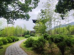 -大唐贡茶院