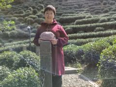 -十八棵（老龙井）御茶园(老龙井店)