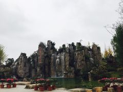 -秀丽东方