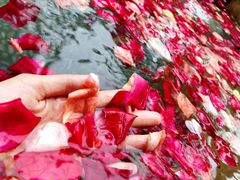 -厦门日月谷温泉渡假村