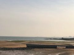 -渡海小渔村.老辈日照菜