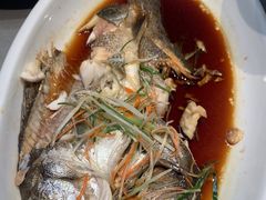 -老山东·山东菜(鲁菜名店)