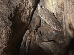 -六里坪国家森林公园