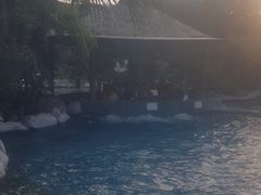 -喜运来大酒店温泉
