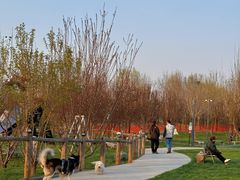 -爪吧宠物乐园 (温榆河示范区店)