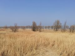 -野鸭湖国家湿地公园