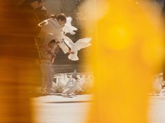 -天津妈祖文化园