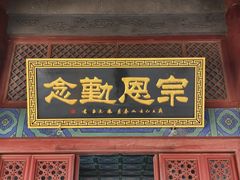 -大槐树寻根祭祖园