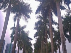 -顺峰山公园