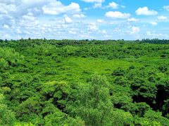 -东寨港红树林旅游区