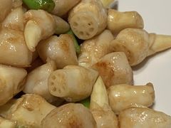 红湖莲藕带炒元贝-二十四单 淮扬新味