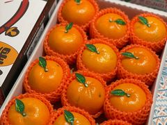 -油麻地果栏