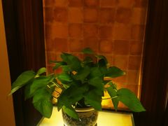 -良运大酒店餐厅