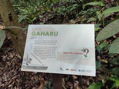 -武吉知马自然保护区