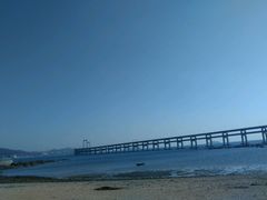 -星海湾跨海大桥