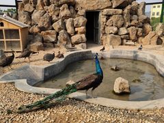 -清风小镇闯关东影视基地