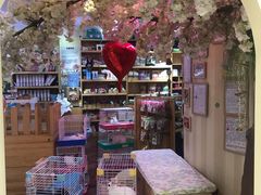 -宠物兔专门店(天丰利市场店)
