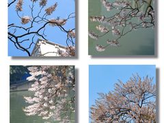-红星桥(地铁站)