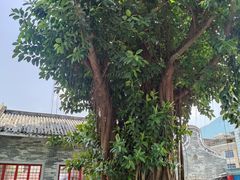 -悦城龙母祖庙