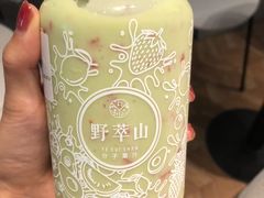 -野萃山·潮汕厚果汁(十亩地店)