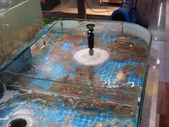 -和源祥·日照菜扛把子(万平口一店)