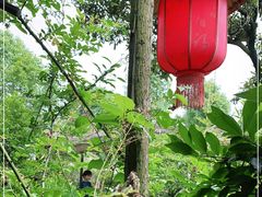 -青城甲(青城山店)