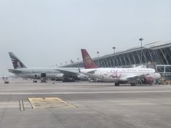 -上海浦东国际机场-T2航站楼