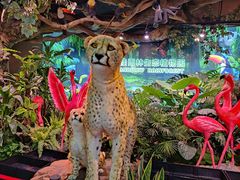 -正佳雨林生态植物园