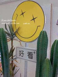 -好看加白色房子