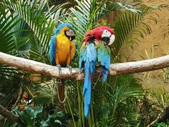 -杭州开元森泊度假乐园