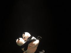 -芙蓉国粹·川剧秀