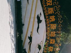 -西双版纳原始森林公园