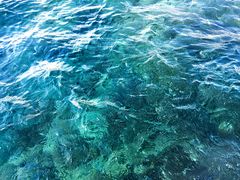 -亚龙湾海底世界