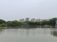 -南汇桃花村