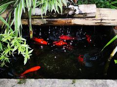 -胡桃里乐队酒馆(鎏嘉码头店)