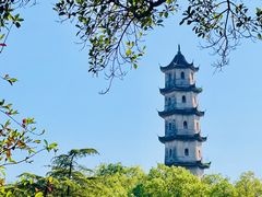 -江心屿景区