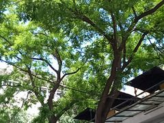 -北京联合大学机电学院