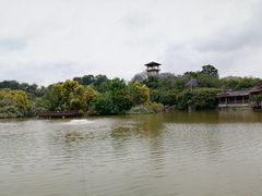 -张坝桂圆林公园