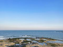 -巧克力渔家.小船海鲜胶东菜(万平口店)