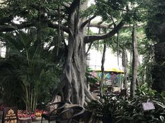 -东方华地城湿地温泉度假区
