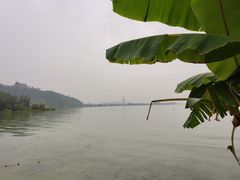 -呈贡滇池生态湿地公园