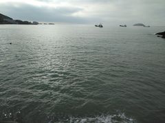 -枸杞岛