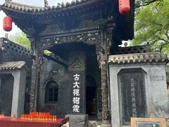 -大槐树寻根祭祖园
