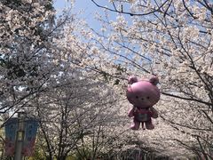 -高东镇樱花园
