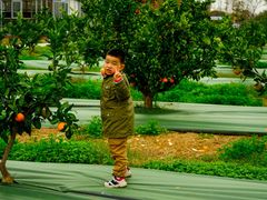 -上海长兴岛郊野公园